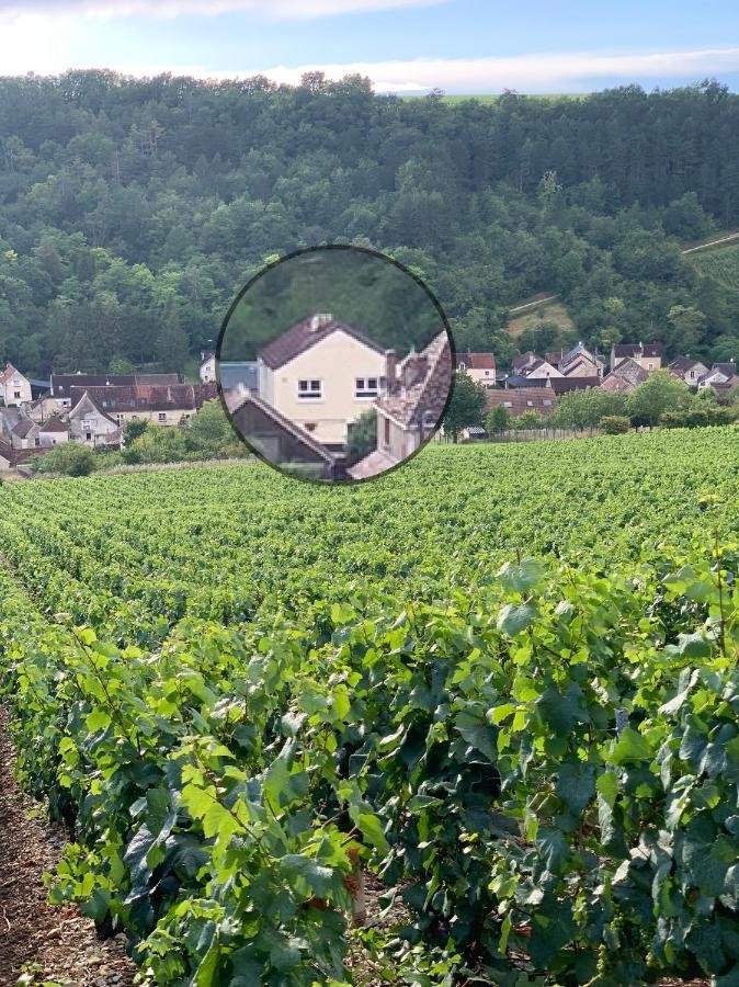 Maison De Campagne Entre Vigne Et Bois Chablis Ngoại thất bức ảnh